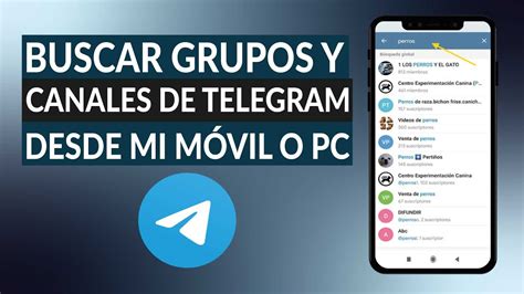 buscar grupos telegram.